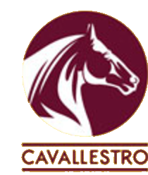 Hotel Cavallestro
